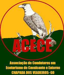 ACECE