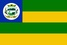 Bandeira de Flores de Goiás