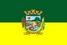 Bandeira de Monte Alegre de Goiás